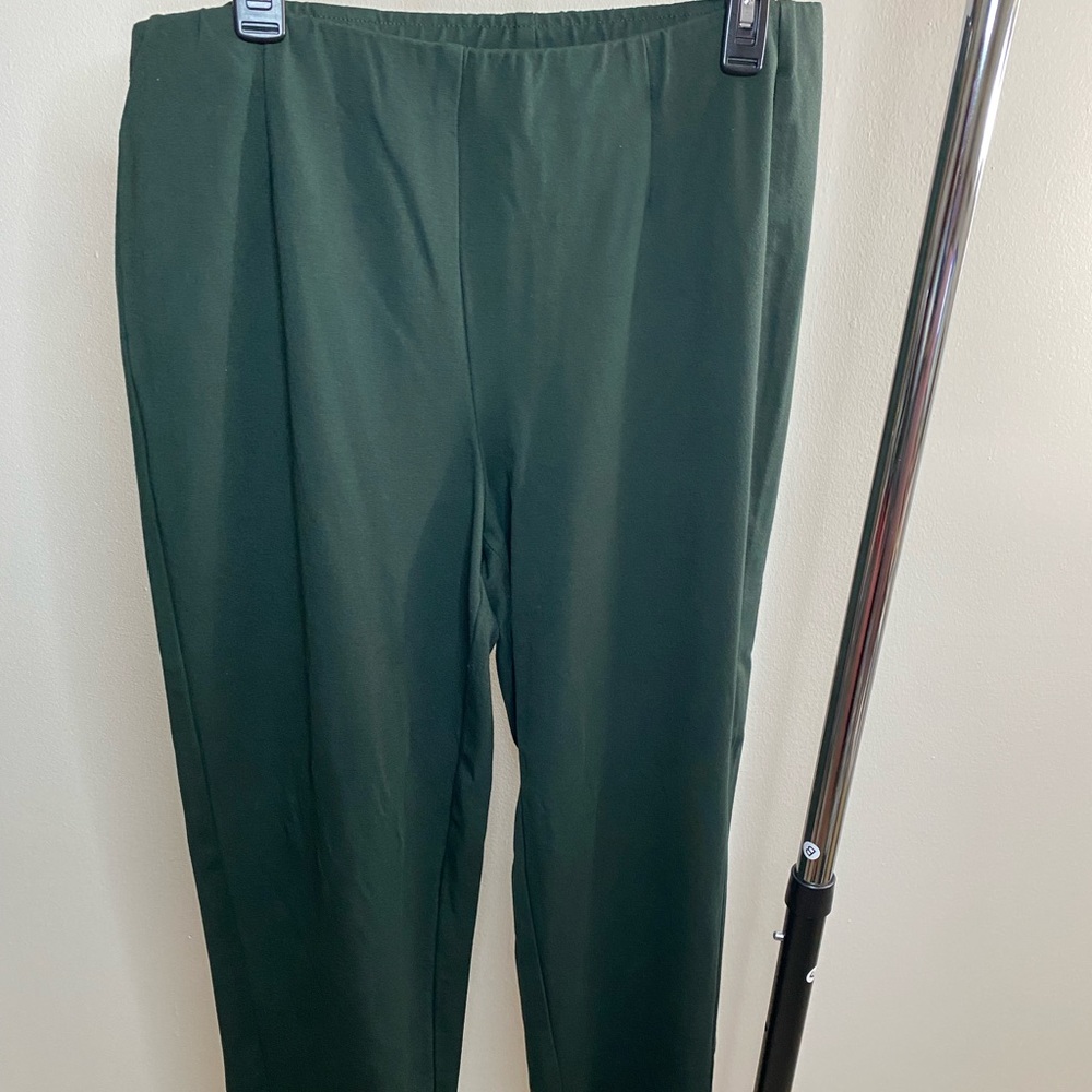 BNWOT J Jill Hunter green ponte pant. Sz: L